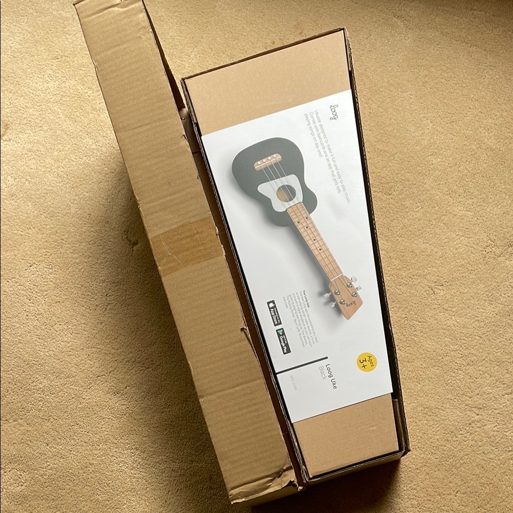 Loog Ukulele BOX